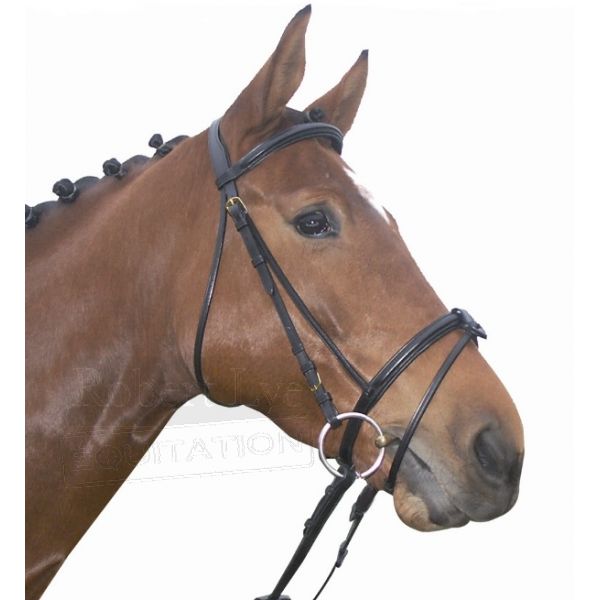 Grossiste des plus belles marques d’équitation